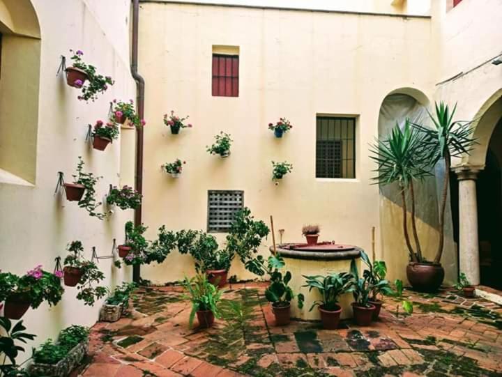 Albergue Convento S.Francisco Zafra Eksteriør billede